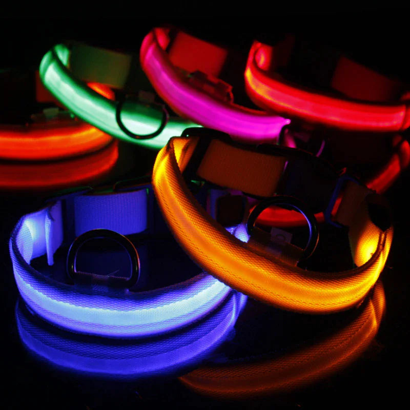 🇺🇸 LED Adjustable Dog Collar – Blinking, Flashing, Light-Up Glow Safety Collar | Waterproof | USA Fast Shipping 🇺🇸
