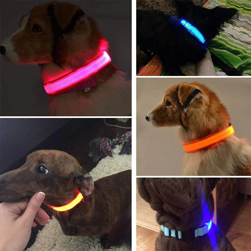 🇺🇸 LED Adjustable Dog Collar – Blinking, Flashing, Light-Up Glow Safety Collar | Waterproof | USA Fast Shipping 🇺🇸