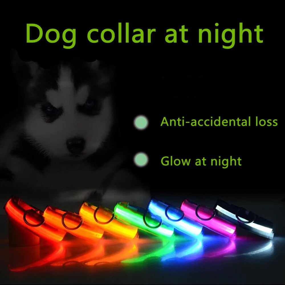 🇺🇸 LED Adjustable Dog Collar – Blinking, Flashing, Light-Up Glow Safety Collar | Waterproof | USA Fast Shipping 🇺🇸