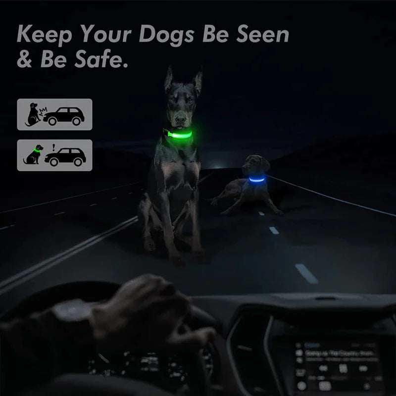 🇺🇸 LED Adjustable Dog Collar – Blinking, Flashing, Light-Up Glow Safety Collar | Waterproof | USA Fast Shipping 🇺🇸
