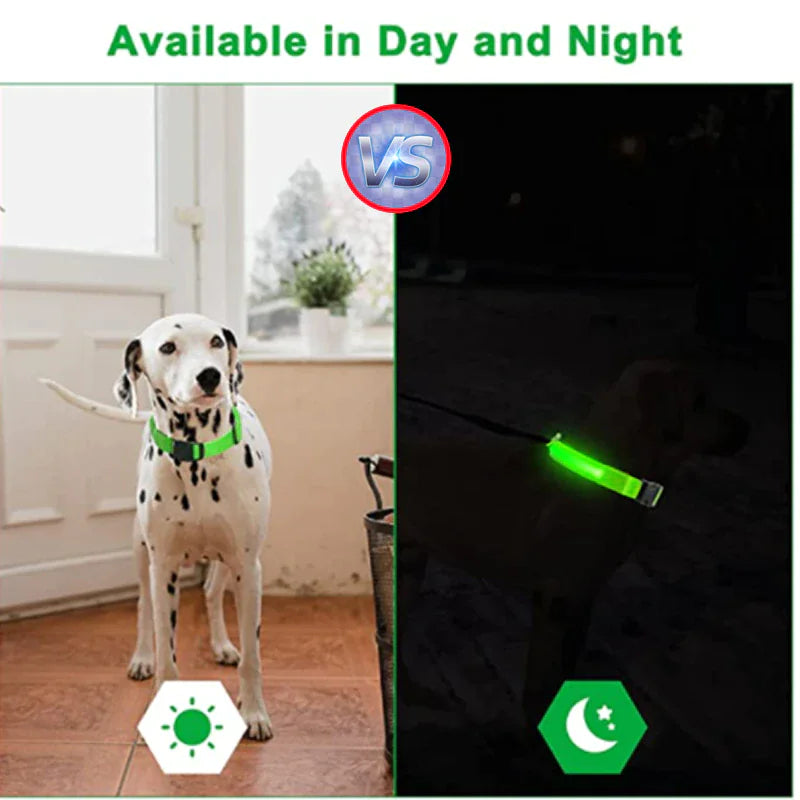 🇺🇸 LED Adjustable Dog Collar – Blinking, Flashing, Light-Up Glow Safety Collar | Waterproof | USA Fast Shipping 🇺🇸