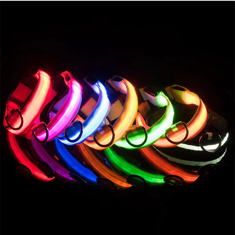 🇺🇸 LED Adjustable Dog Collar – Blinking, Flashing, Light-Up Glow Safety Collar | Waterproof | USA Fast Shipping 🇺🇸