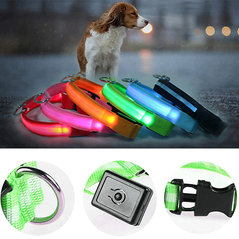 🇺🇸 LED Adjustable Dog Collar – Blinking, Flashing, Light-Up Glow Safety Collar | Waterproof | USA Fast Shipping 🇺🇸