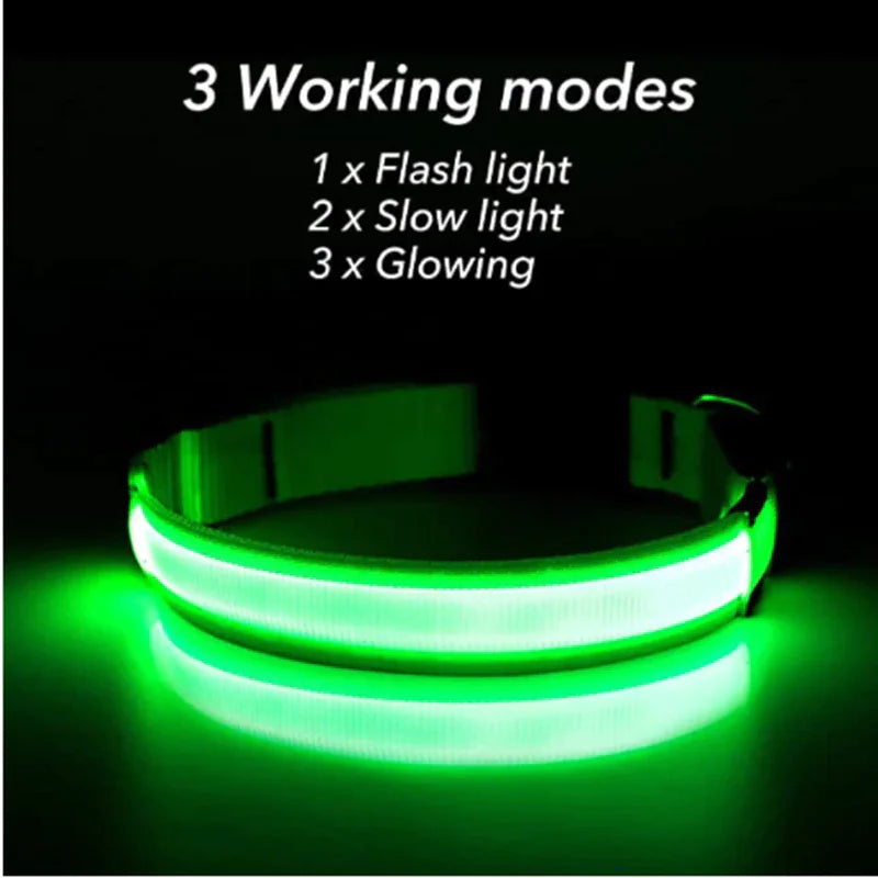 🇺🇸 LED Adjustable Dog Collar – Blinking, Flashing, Light-Up Glow Safety Collar | Waterproof | USA Fast Shipping 🇺🇸