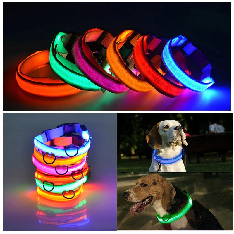 🇺🇸 LED Adjustable Dog Collar – Blinking, Flashing, Light-Up Glow Safety Collar | Waterproof | USA Fast Shipping 🇺🇸
