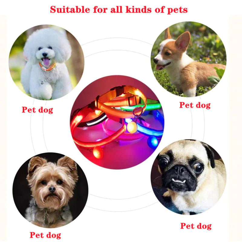 🇺🇸 LED Adjustable Dog Collar – Blinking, Flashing, Light-Up Glow Safety Collar | Waterproof | USA Fast Shipping 🇺🇸