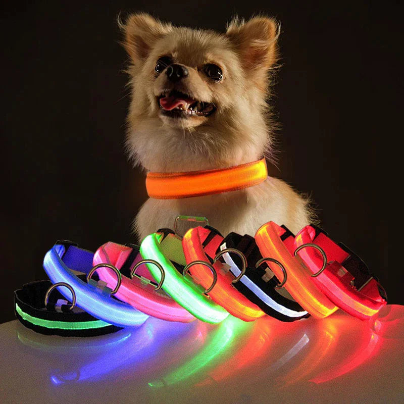🇺🇸 LED Adjustable Dog Collar – Blinking, Flashing, Light-Up Glow Safety Collar | Waterproof | USA Fast Shipping 🇺🇸